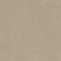 3708 Fossil Concrete